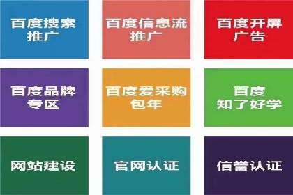 百度推广公司：成功案例解析